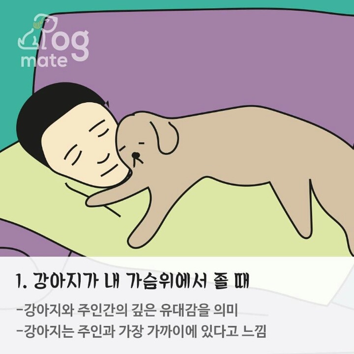 반려동물과 잠자는 위치로 본 반려동물과 나의 관계 | 인스티즈