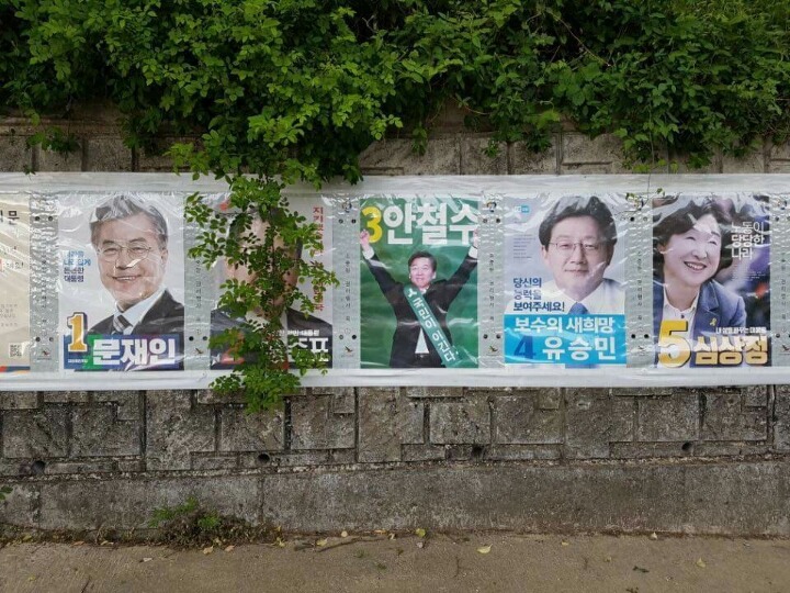 정치적인 나무 | 인스티즈