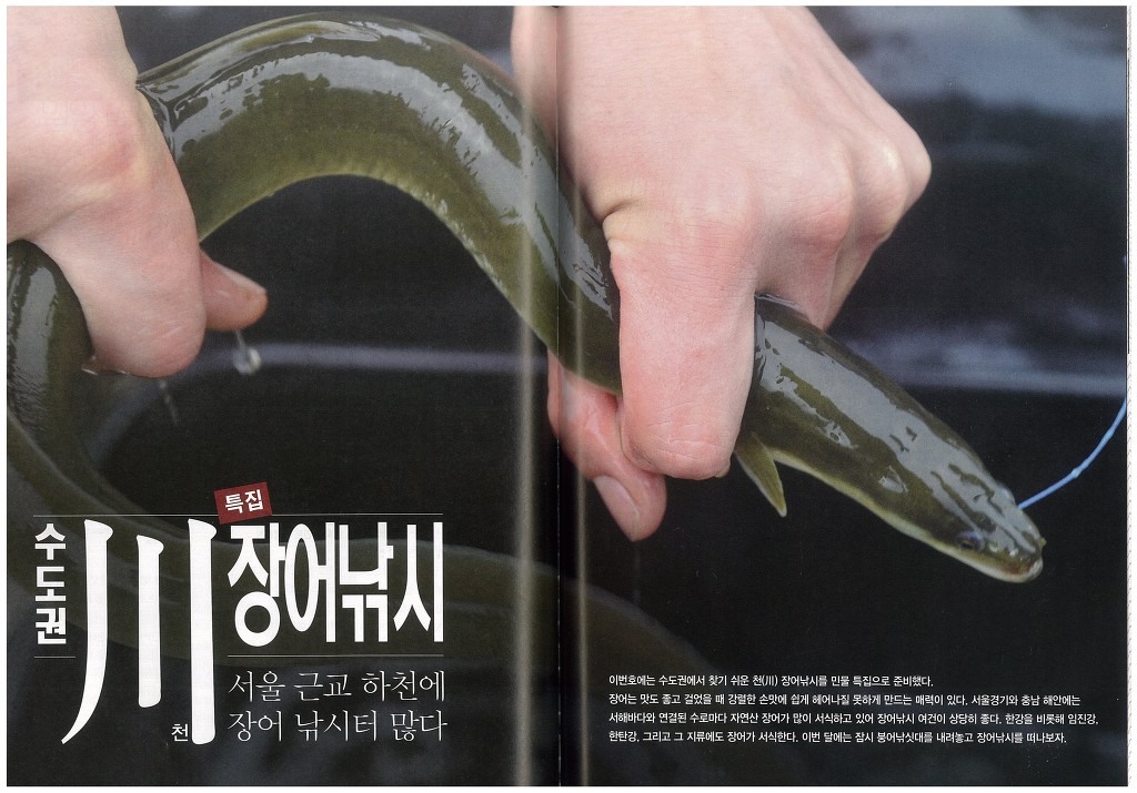 장어이야기 이미지