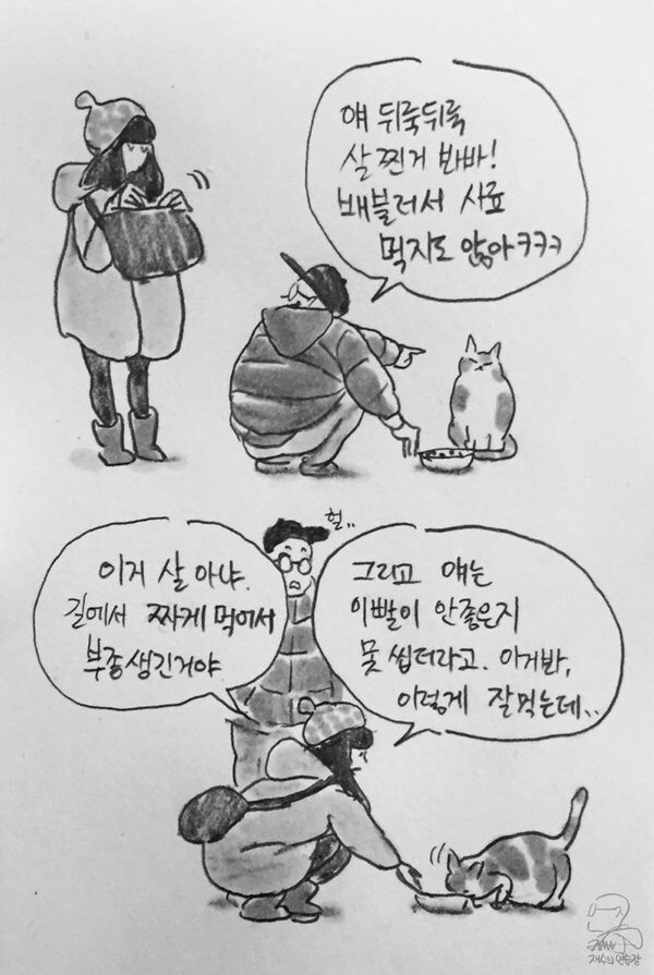 길고양이가 왜 이렇게 뚱뚱해?ㅋㅋ 배불러서 사료도 안먹네 | 인스티즈