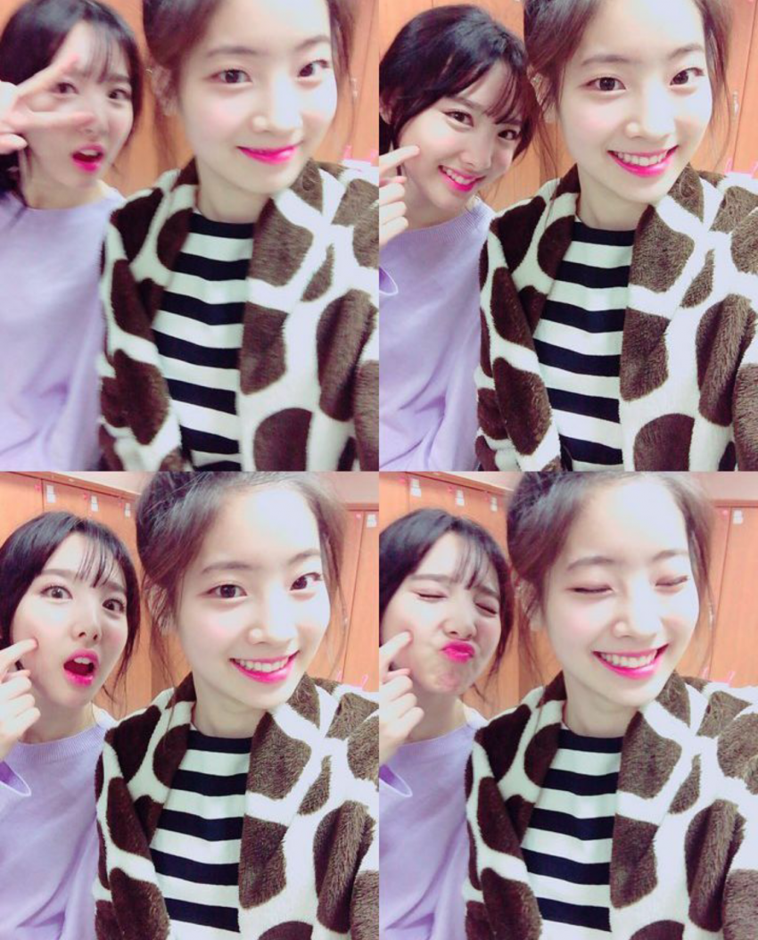 트와이스 꿀케미 | 인스티즈