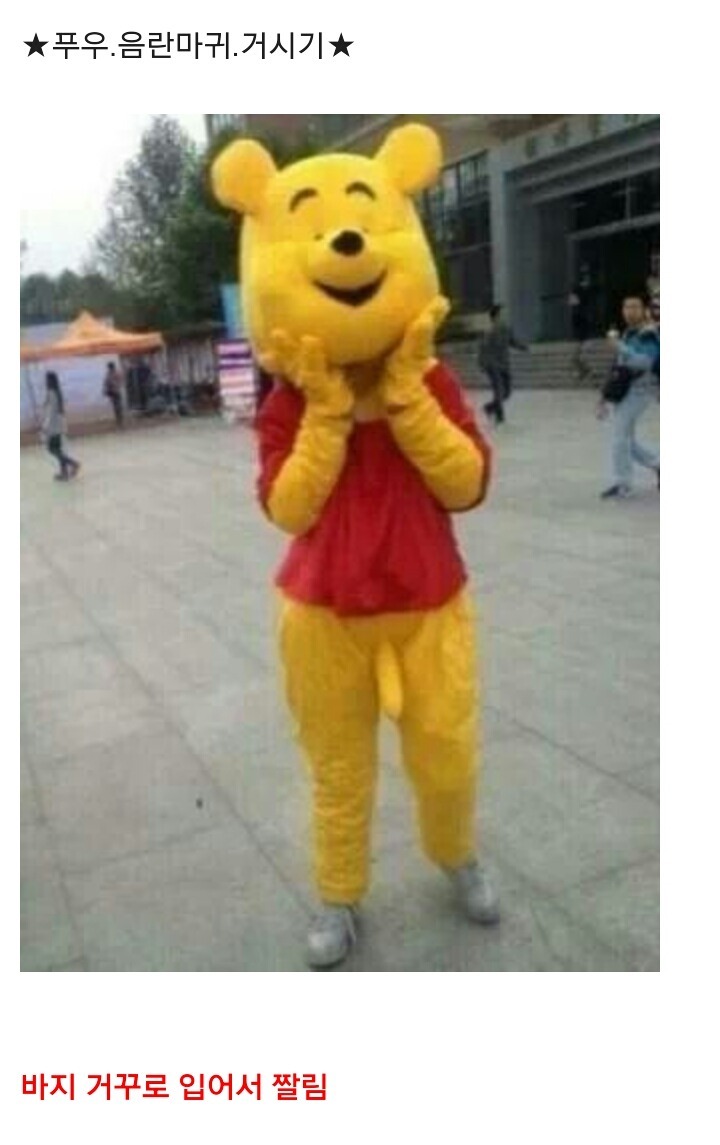알바 이미지