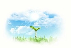 반짝이게 이미지