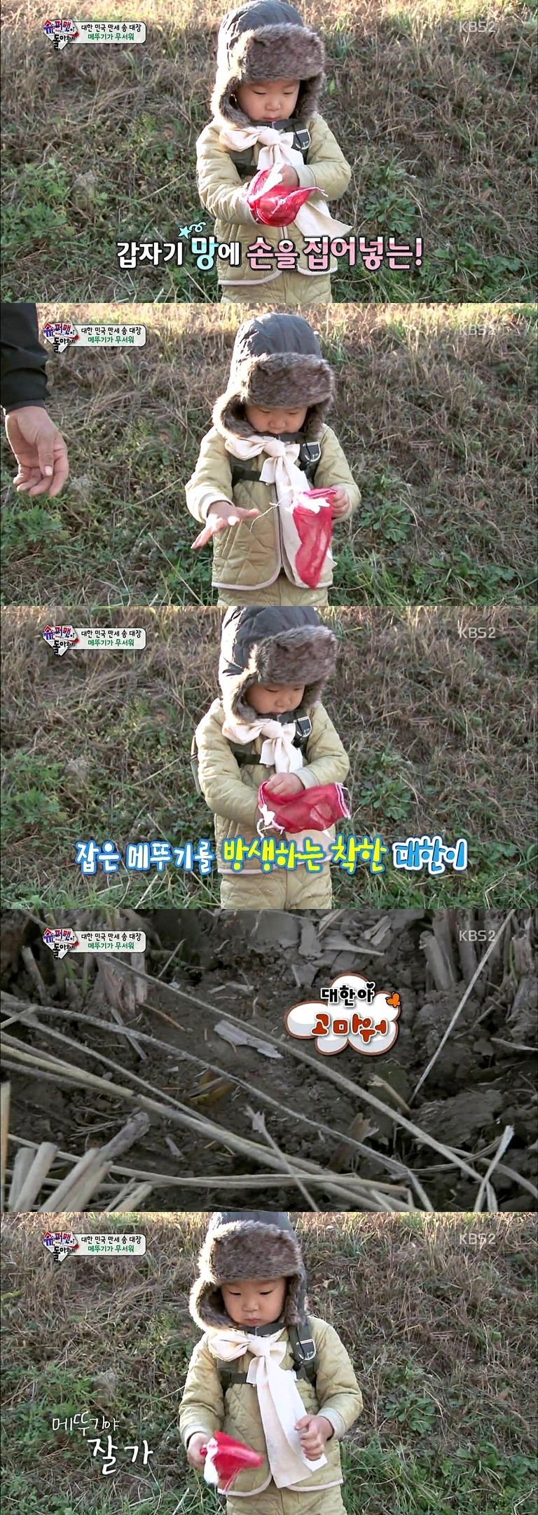 [슈퍼맨이돌아왔다] 대한이와 메뚜기의 우정 | 인스티즈