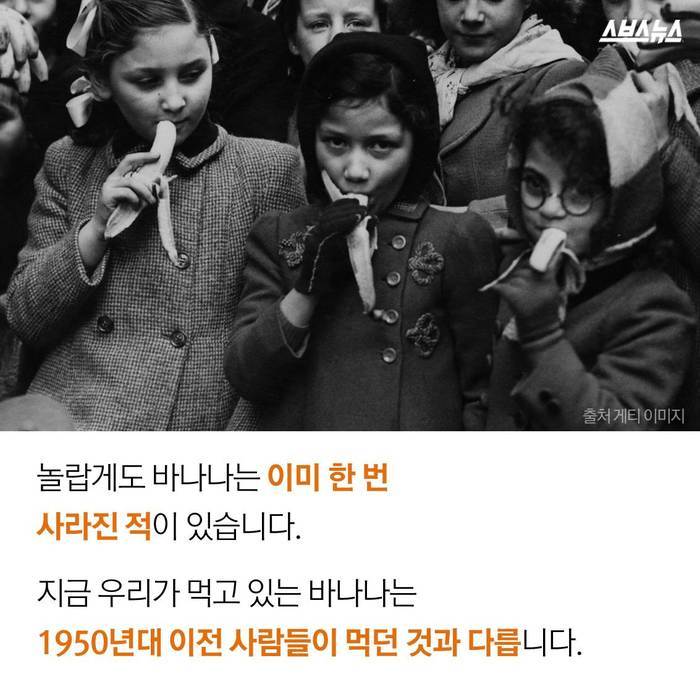  바나나 괴담의 진실 | 인스티즈