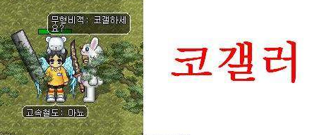 게임 내에서 코갤러를 구분하는 방법.jpg | 인스티즈