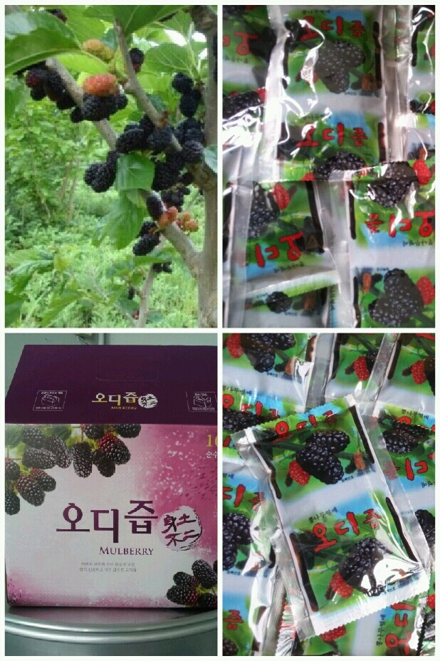 오디 이미지