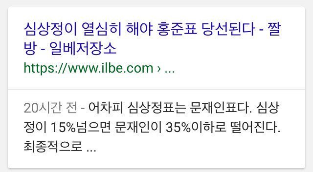심상정 찬양하는 일베사이트 일베충들.jpg | 인스티즈