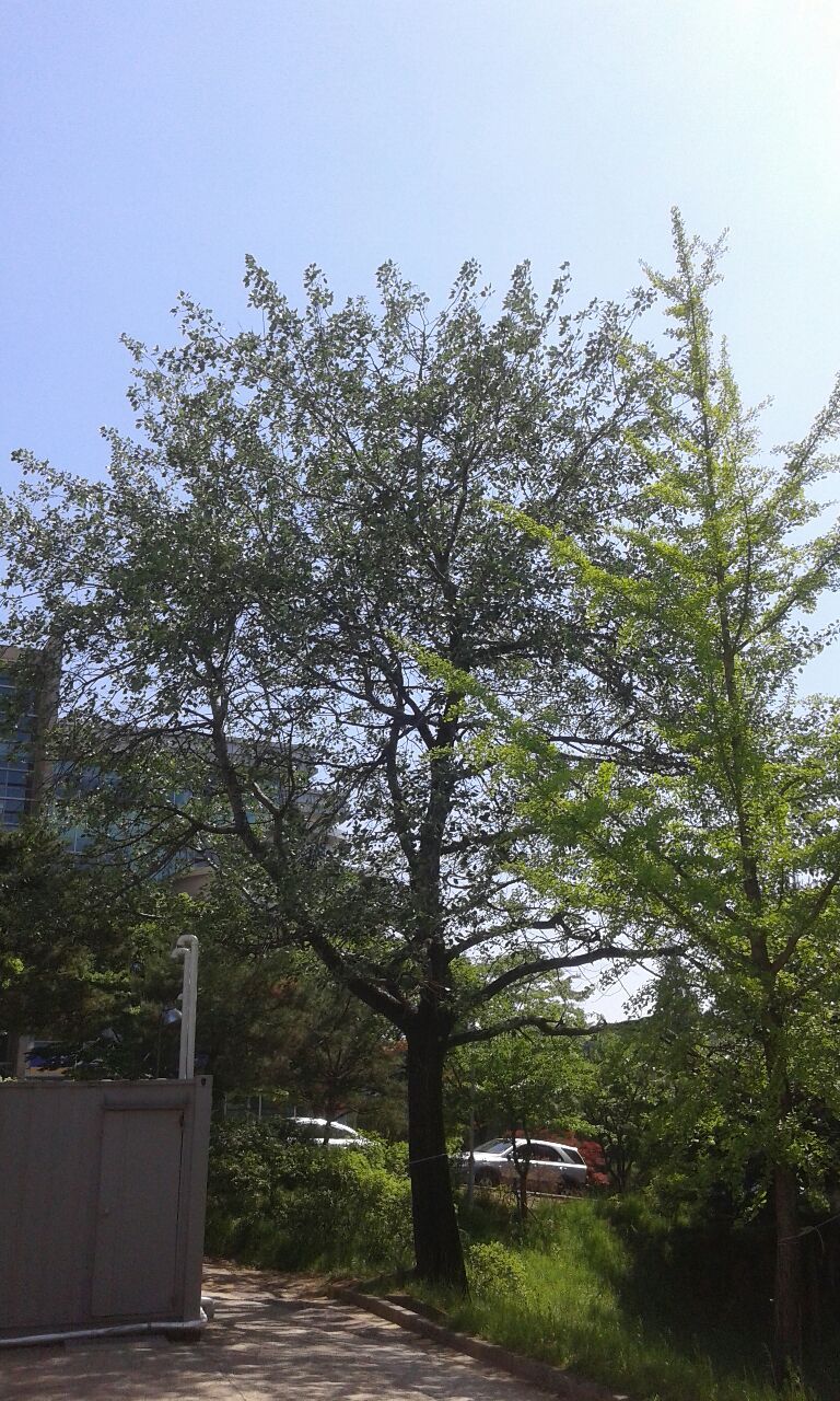 백양산업 이미지