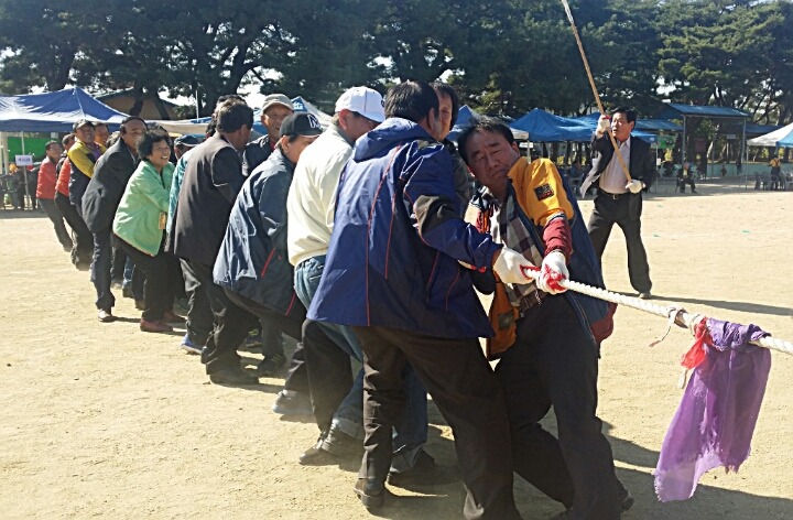 용문초등학교 이미지