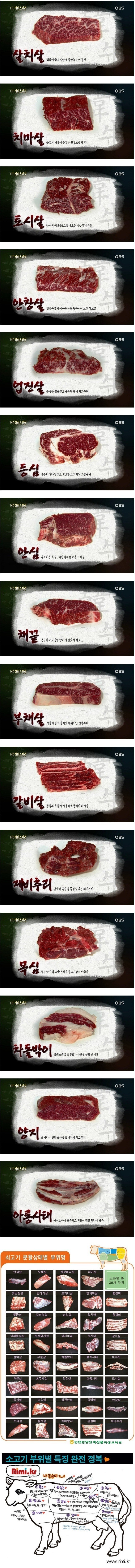 소고기 부위별 완전 정복 | 인스티즈