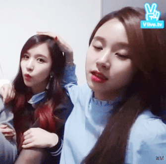 트와이스 미나&채영.gif | 인스티즈