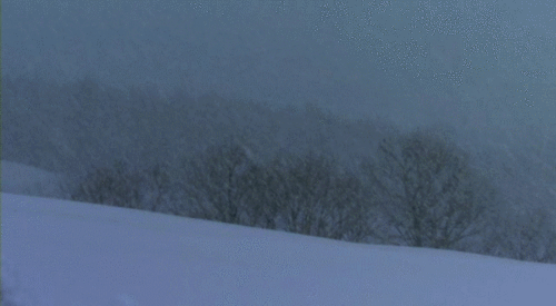 내가 제일 좋아하는 계절.jpg | 인스티즈