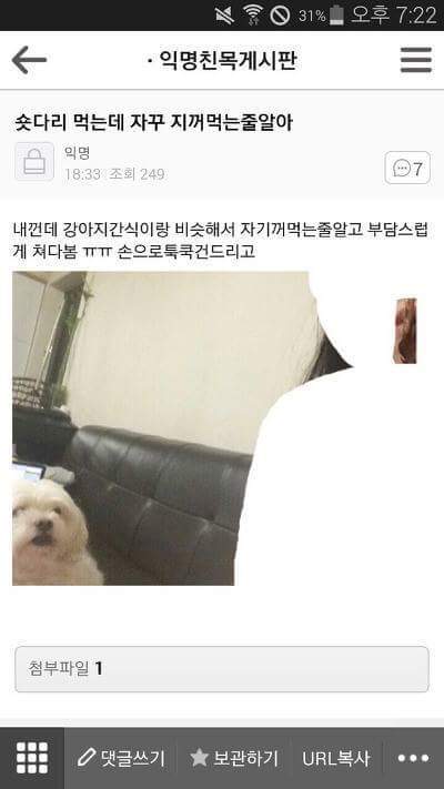  익친 캡쳐ㅋㅋㅋㅋㅋㅋ(feat.멍이) | 인스티즈