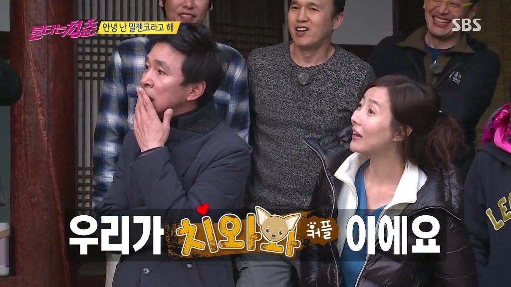 오늘자 불타는 청춘 게스트 | 인스티즈