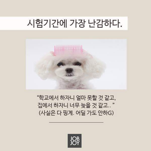 자취하는 사람이 제일 부럽다 | 인스티즈