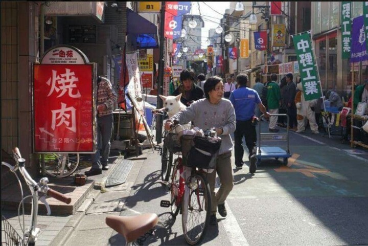 전생 남자친구가 개로 환생함 | 인스티즈