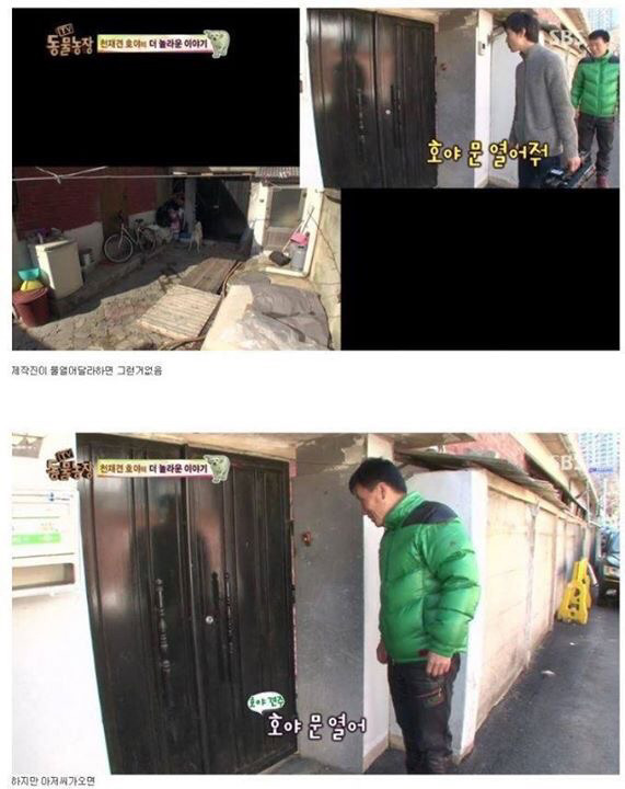 동물농장에 나온 역대급 천재 개ㄷㄷ | 인스티즈