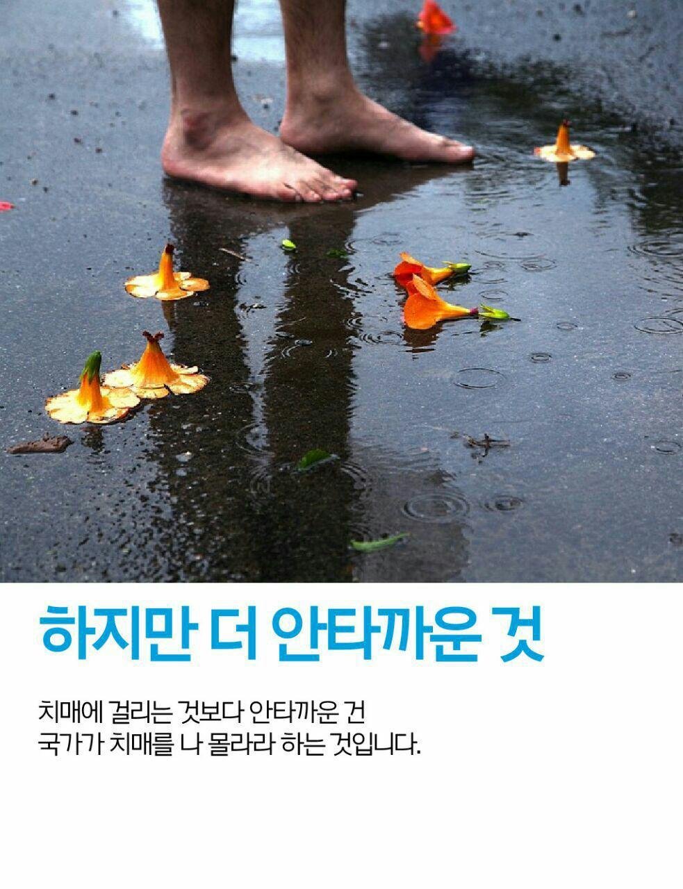 주간 문재인 창간호.jpg | 인스티즈