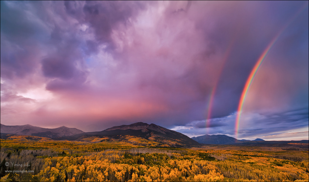 2260074852D9A0EC2241D0