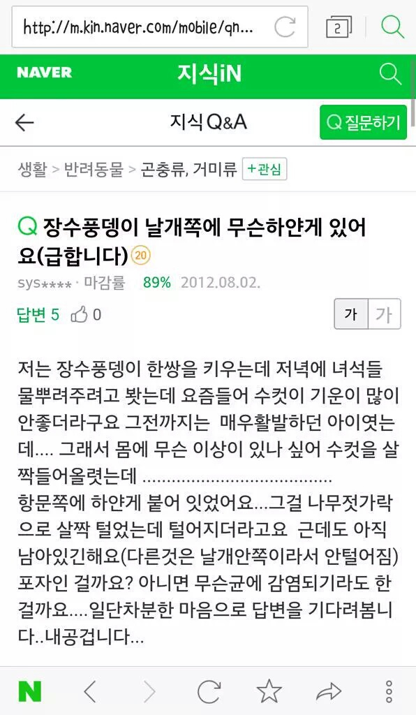 장수풍뎅이 대참사...JPG | 인스티즈