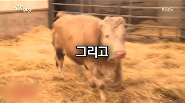 감사함을 아는 동물 | 인스티즈