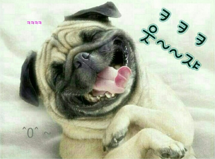 장윤정머리사랑 이미지