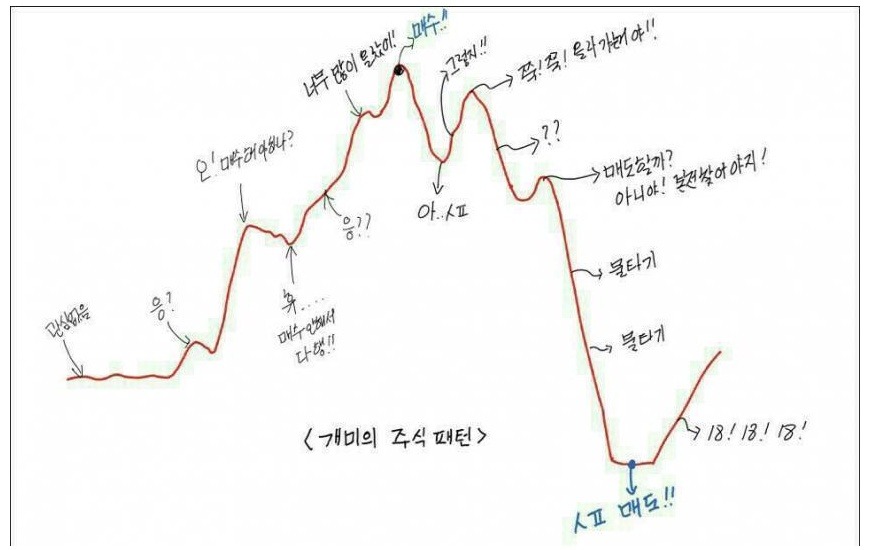 개미의 주식패턴 (망하는) | 인스티즈
