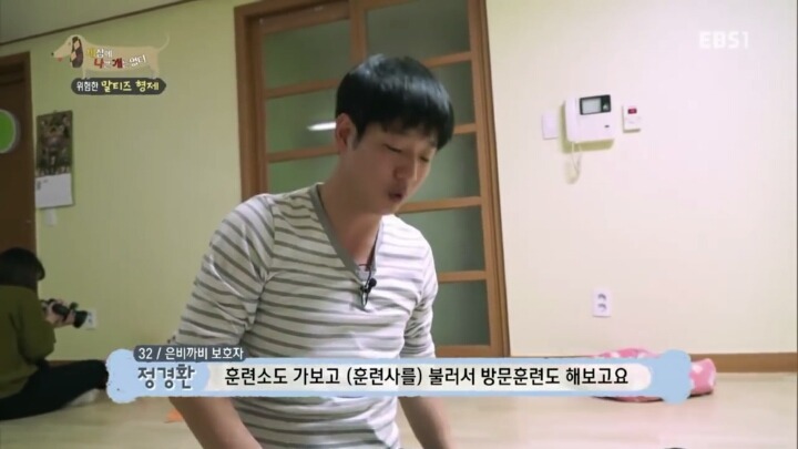 [세나개] 공격적인 반려견이 되는 이유 1부.jpg | 인스티즈
