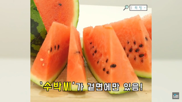 수박의 계절 여름.. 수박씨 쉽게 발라 먹는 방법 🍉 | 인스티즈