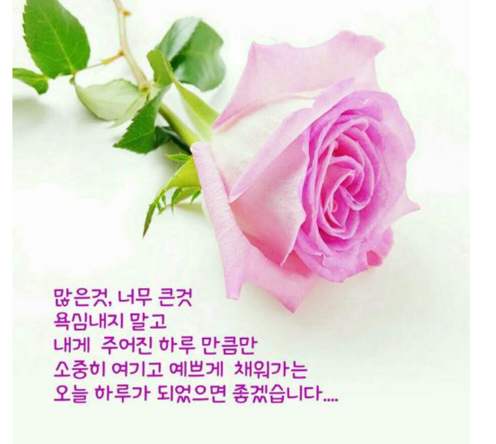 행복한아침 이미지