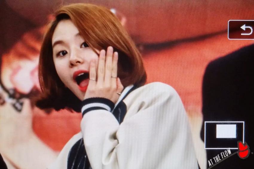[트와이스] 아기맹수 채영이 짤 모음.gif | 인스티즈