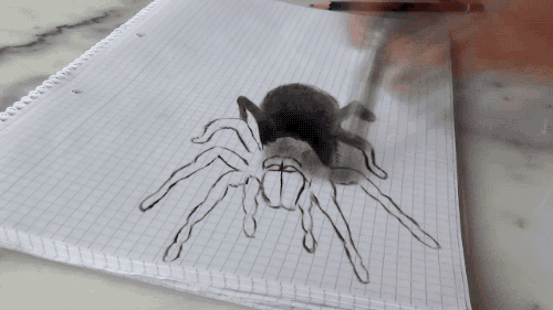 화가 아빠의 리얼한 3D거미 그림과 딸의 반응.GIF | 인스티즈