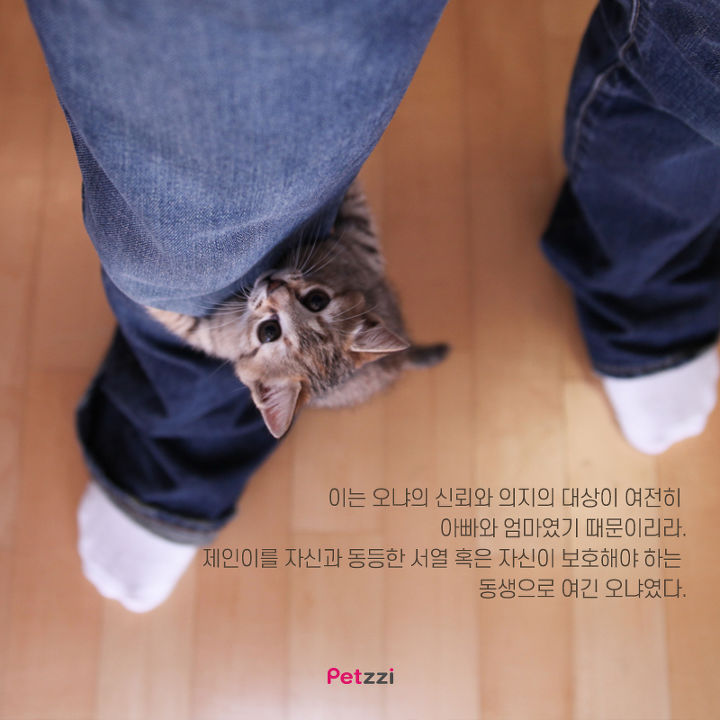 아기와 고양이의 교감 | 인스티즈