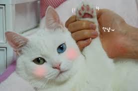 여자들이 환장하는 부위 | 인스티즈