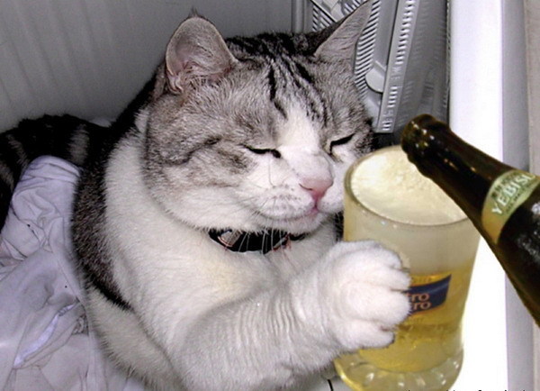량 이미지