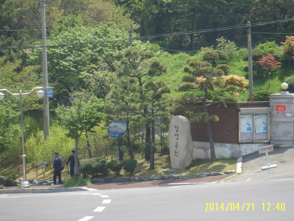 아미초등학교 이미지