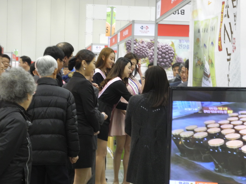 와사 이미지