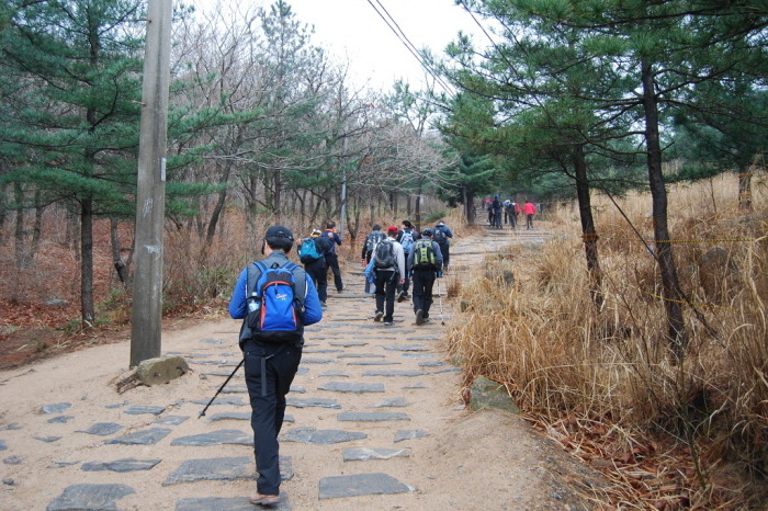 트레일(Trail) 이미지