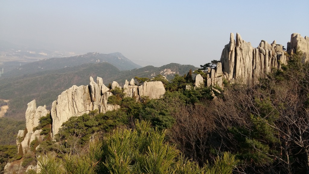 아미산숲센터 이미지