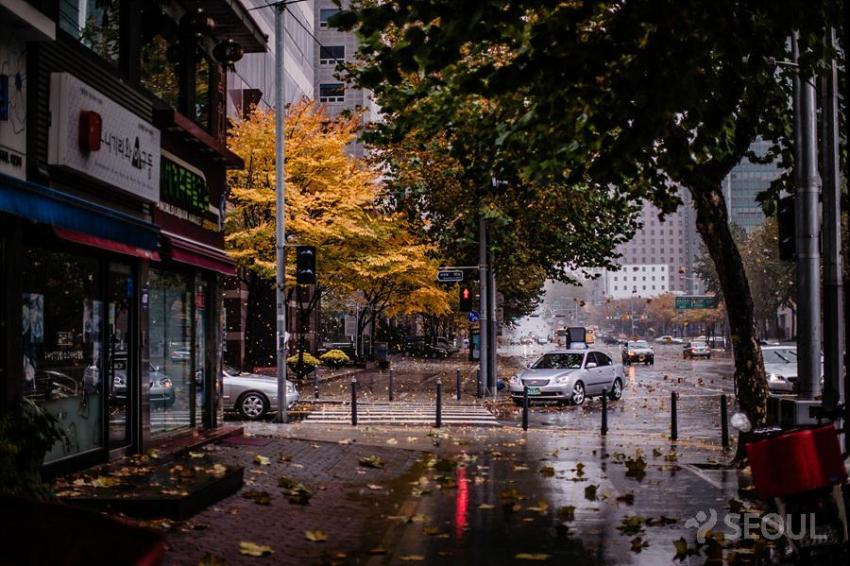 세계 어느도시에도 꿀리지 않는 우리나라 최대도시.jpg | 인스티즈