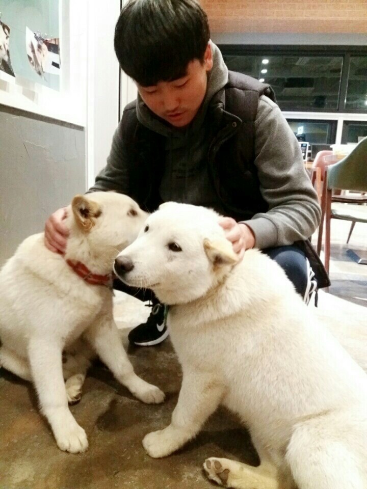 사랑하는 내 동생은 개소주가 되어서 돌아왔고 저는 개소주녀가 되었습니다 | 인스티즈