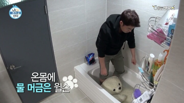 [나혼자산다] 윌슨 씻기는 전현무ㅋㅋㅋㅋㅋㅋㅋㅋㅋㅋㅋㅋ | 인스티즈
