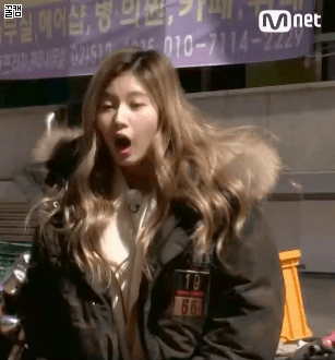 놀라는 사나도 탱. 샤샤샤 | 인스티즈