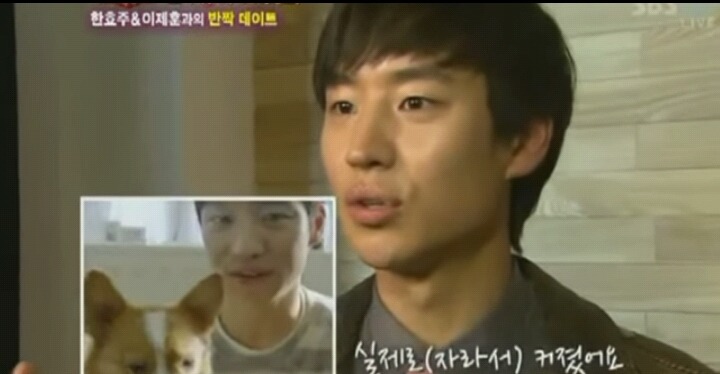 하다하다 개나 고양이도 잘생긴 남자의 낯짝은 알아봄 | 인스티즈