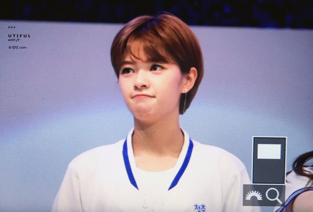 몽글몽글해진 트와이스 정연.jpg | 인스티즈