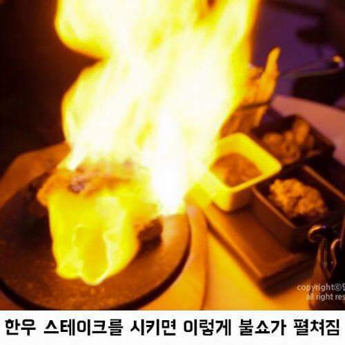 연예인 대박식당 | 인스티즈