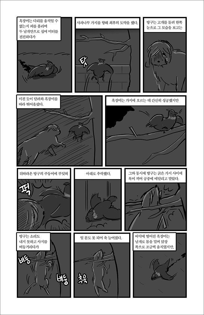 묘생만경 | 인스티즈