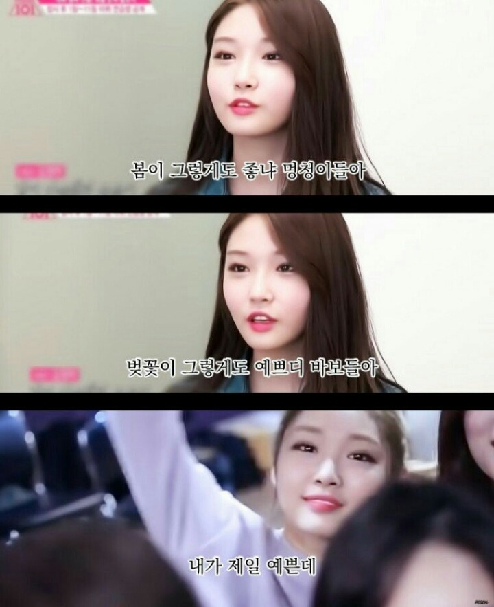 술시 이미지