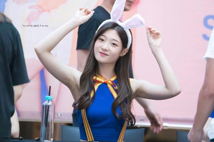 토끼 채연이 | 인스티즈